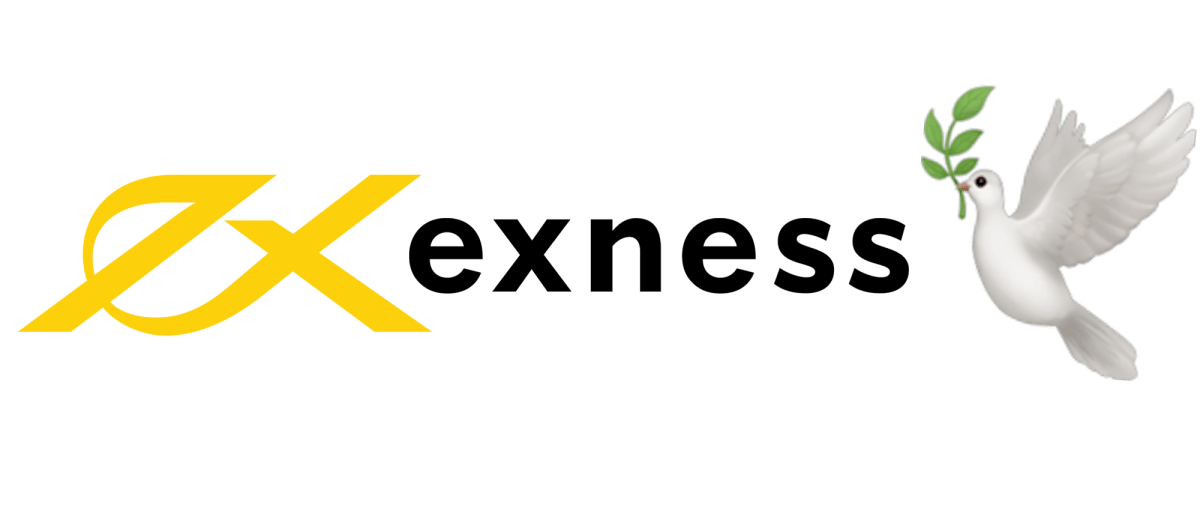 Discover the Benefits of Exness Web Platform 0