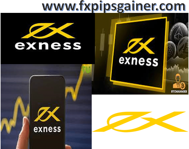 Discovering Exness Morocco A Gateway to Financial Trading